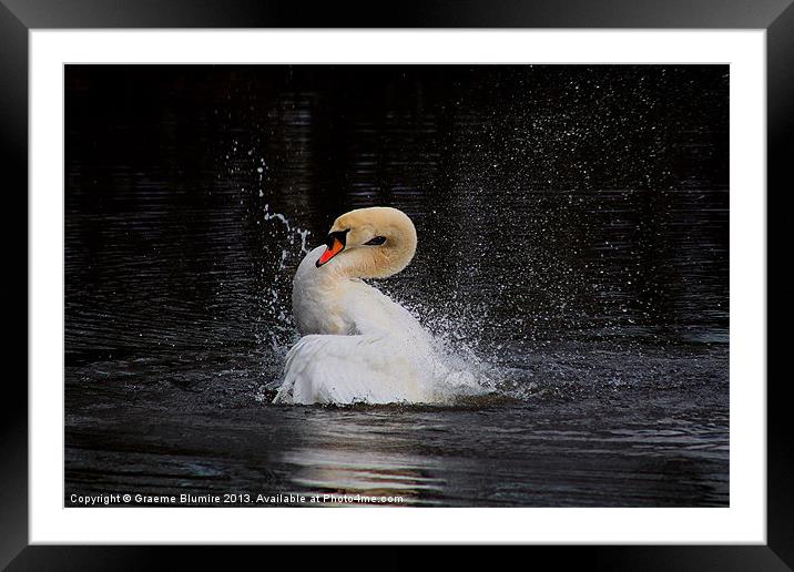 Splash down Framed Mounted Print by Graeme B