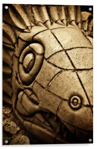 the dragon Acrylic by meirion matthias