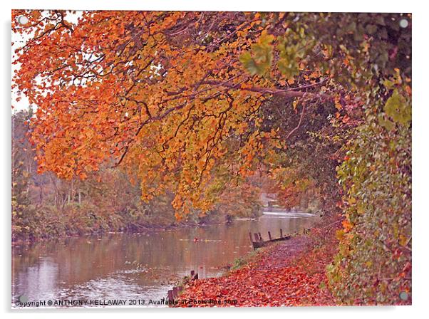ITCHEN NAVIGATION IN AUTUMN Acrylic by Anthony Kellaway