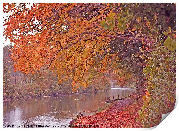 ITCHEN NAVIGATION IN AUTUMN Print by Anthony Kellaway