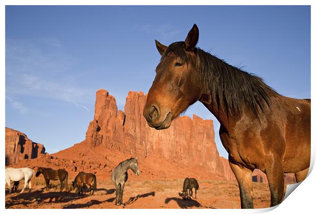 Indian Horses at Monument Valley Print by peter schickert