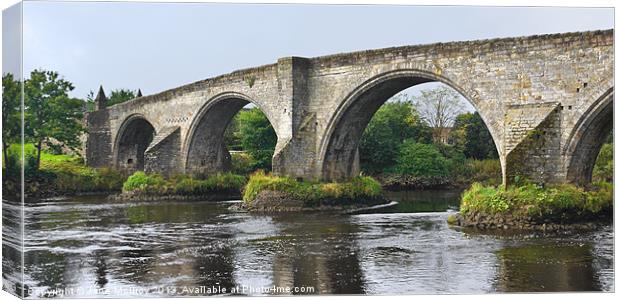 Old Bridge at Stirling, Scotland Canvas Print by Jane McIlroy