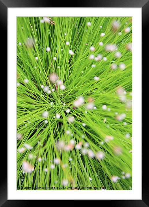 Green Lines Framed Mounted Print by Glynne Pritchard