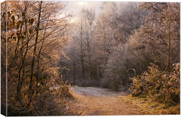A Fine Winters morning Canvas Print by Dawn Cox