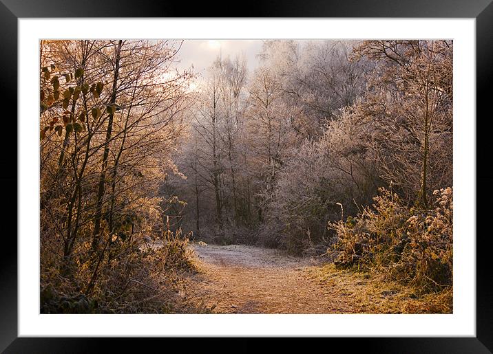 A Fine Winters morning Framed Mounted Print by Dawn Cox