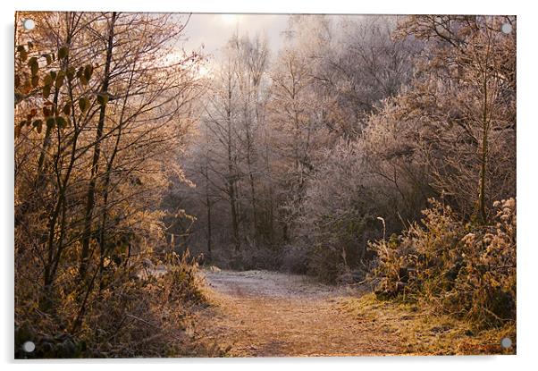A Fine Winters morning Acrylic by Dawn Cox