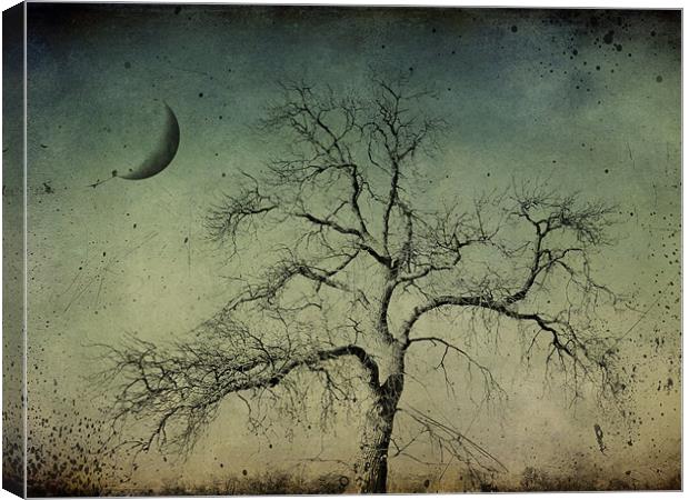 beneath a dark moon Canvas Print by Heather Newton