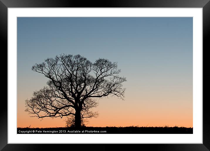 Lone tree at Sunset Framed Mounted Print by Pete Hemington