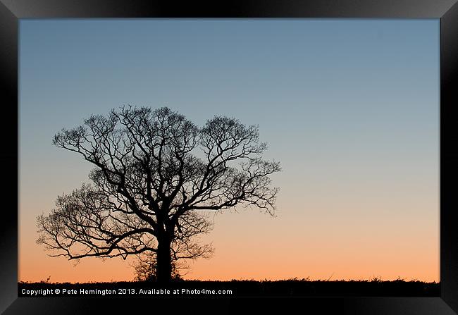 Lone tree at Sunset Framed Print by Pete Hemington