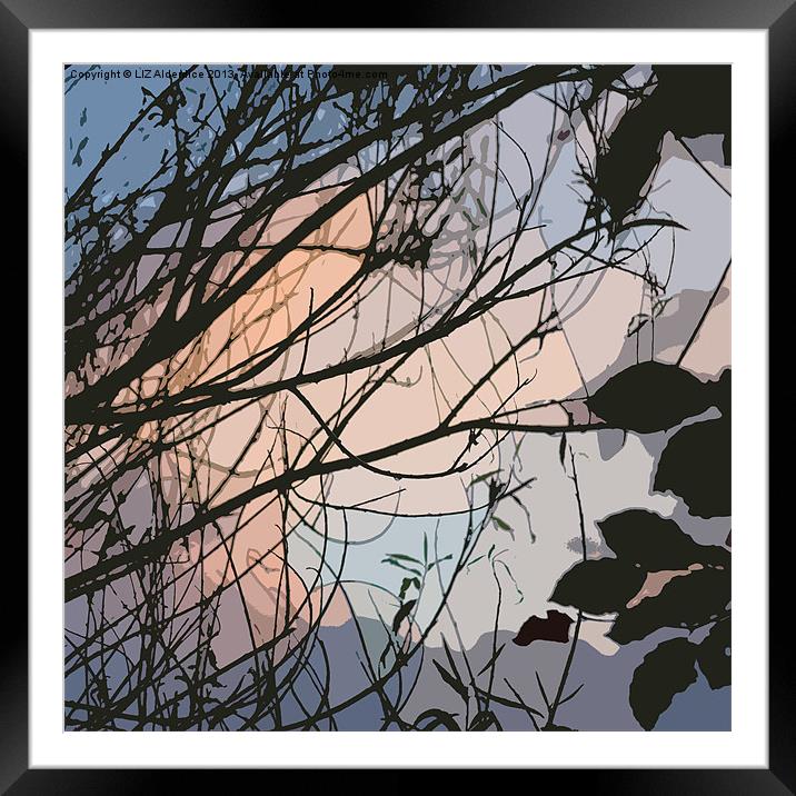 Sunset through the Willow (abstract) Framed Mounted Print by LIZ Alderdice