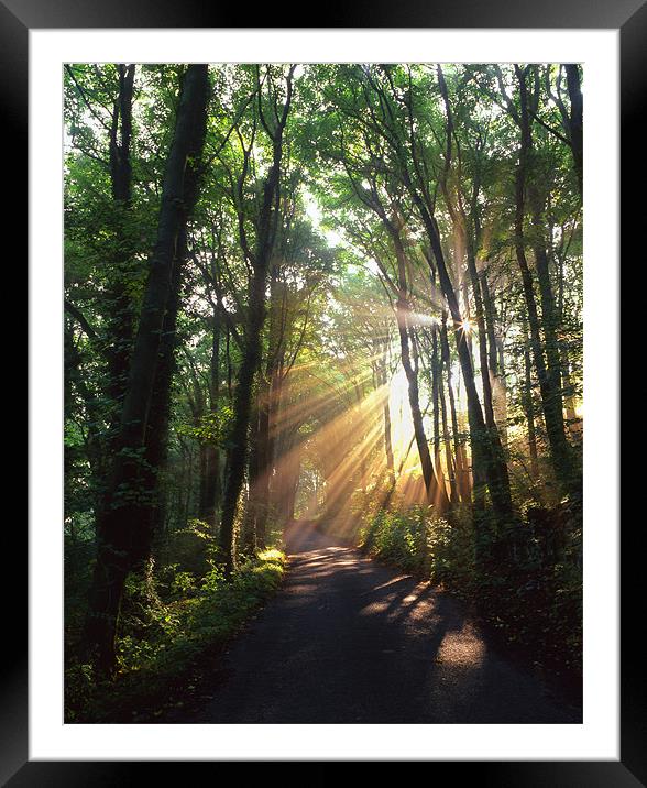 Light Rays through Castleton Lane,Peak District Framed Mounted Print by Darren Galpin