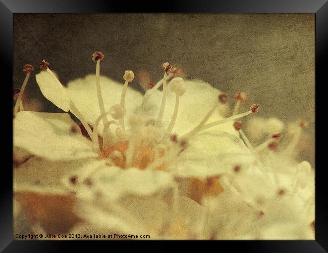 Dirty Flowers Framed Print by Julie Coe
