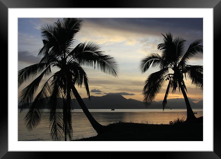 Coconut Palm Trees  Framed Mounted Print by Victoria Ashman