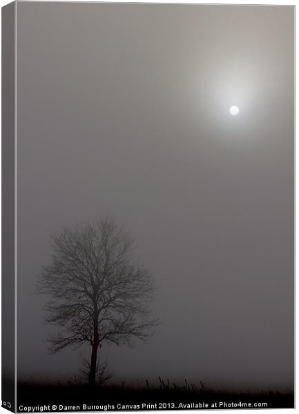Tree In The Mist Canvas Print by Darren Burroughs