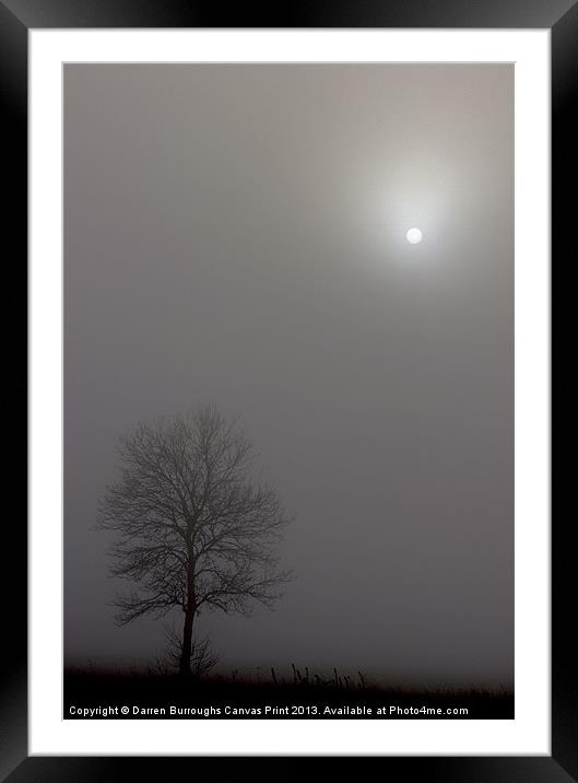 Tree In The Mist Framed Mounted Print by Darren Burroughs