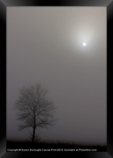 Tree In The Mist Framed Print by Darren Burroughs