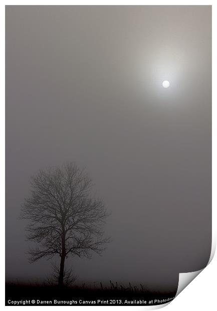 Tree In The Mist Print by Darren Burroughs