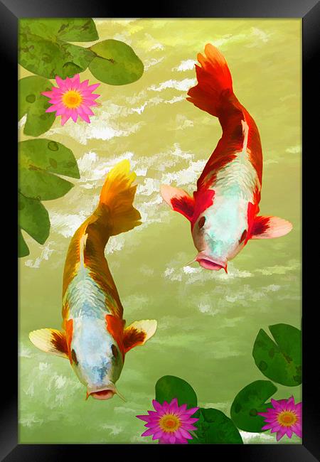 Koi Carp Oriental Fish  Framed Print by Anthony Michael 