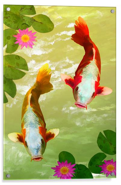 Koi Carp Oriental Fish  Acrylic by Anthony Michael 