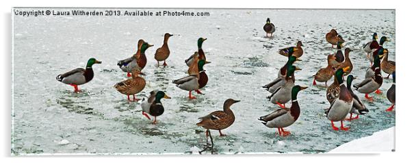 Ducks on Ice Acrylic by Laura Witherden