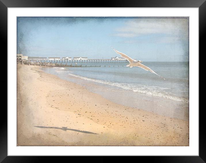 Southwold Flypast Framed Mounted Print by Mike Sherman Photog