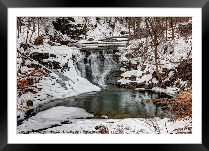 nature during winter Framed Mounted Print by peter campbell