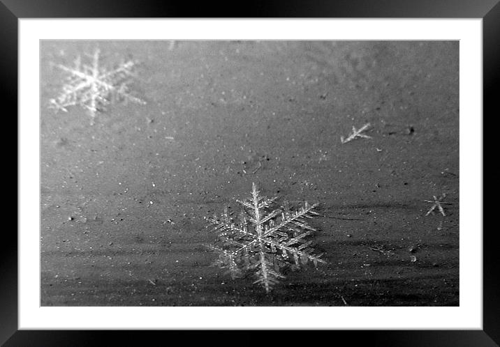 The Snowflake Framed Mounted Print by Ic Imagination