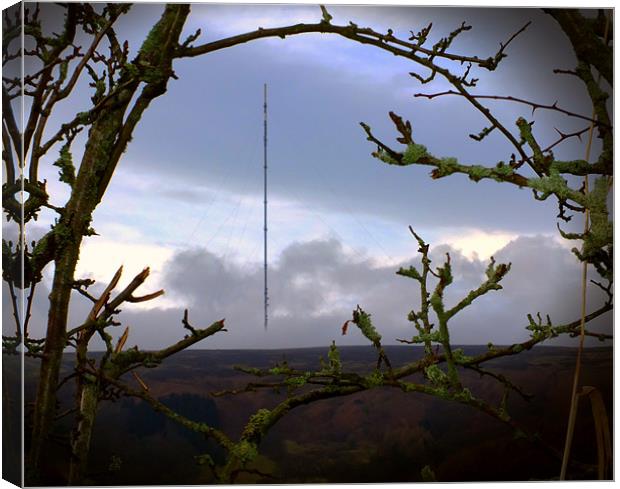 Bilsdale mast Canvas Print by andrew pearson