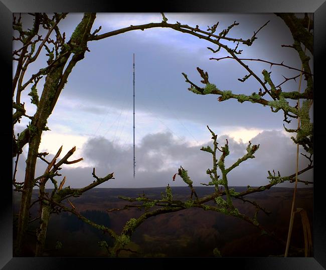 Bilsdale mast Framed Print by andrew pearson