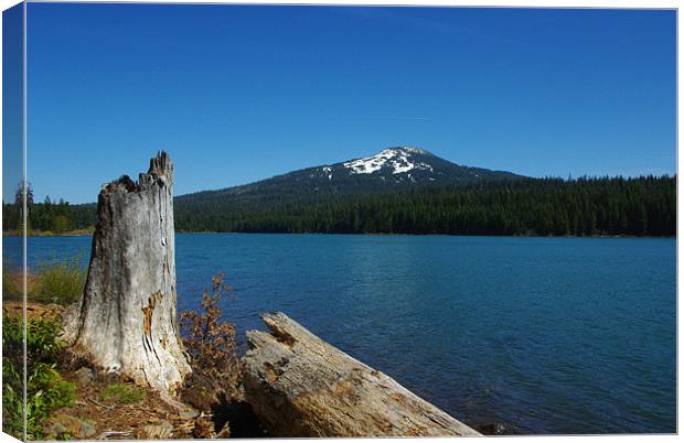 Lake of the Woods, Oregon Canvas Print by Claudio Del Luongo