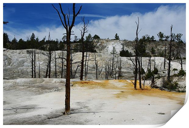 Mammoth Terraces, Yellowstone Print by Claudio Del Luongo