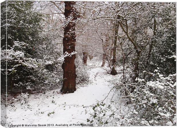 Epping Forest In The Snow Canvas Print by Malcolm Snook