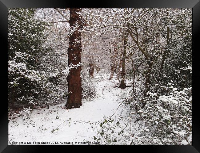 Epping Forest In The Snow Framed Print by Malcolm Snook