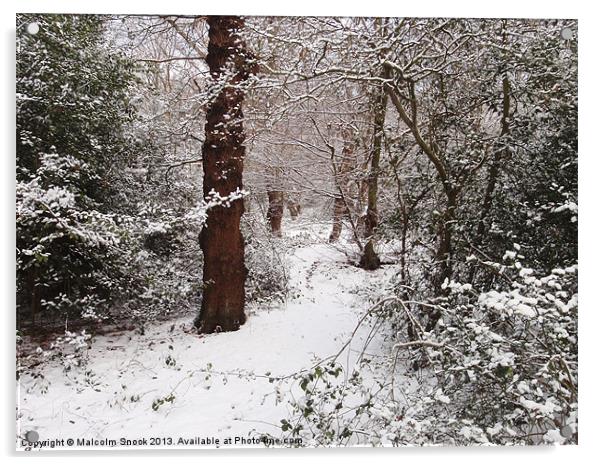 Epping Forest In The Snow Acrylic by Malcolm Snook