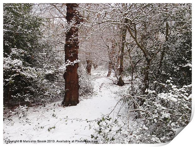 Epping Forest In The Snow Print by Malcolm Snook