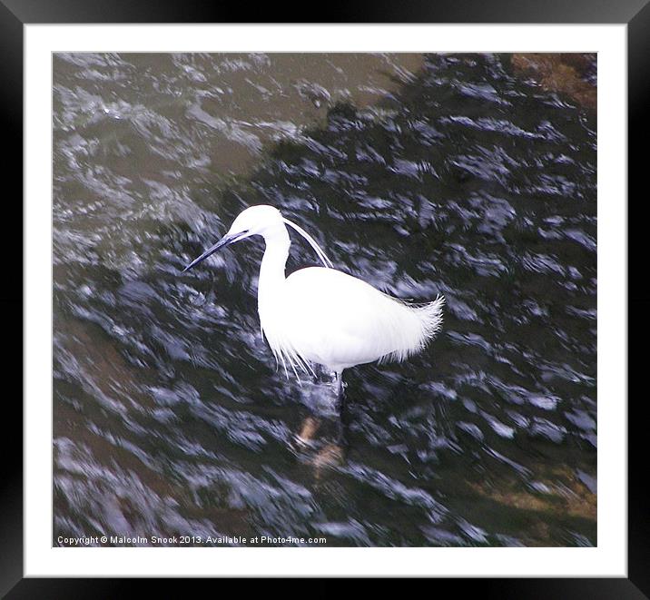 Little Egret in fast river Framed Mounted Print by Malcolm Snook