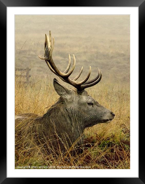 Rut over Framed Mounted Print by Linsey Williams