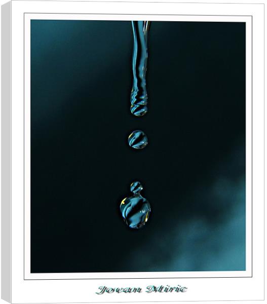Water drop  Canvas Print by Jovan Miric
