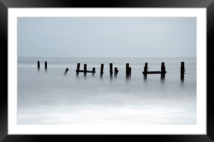 Simplicity Framed Mounted Print by Tracey Whitefoot