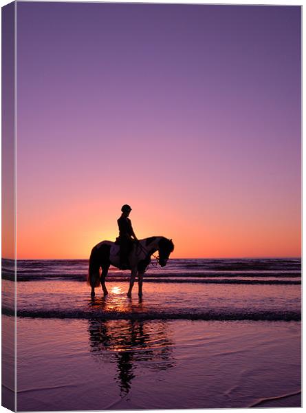 Horse rider at sunset Canvas Print by nick woodrow