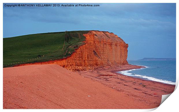 EAST CLIFF FRESHWATER BAY BURTON BRADSTOCK Print by Anthony Kellaway