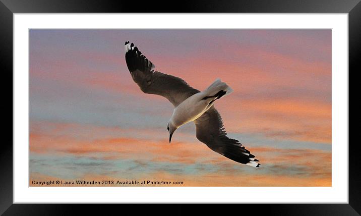 Sunset Seagull Framed Mounted Print by Laura Witherden