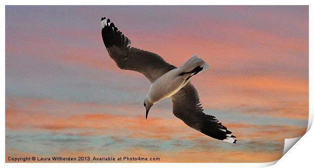 Sunset Seagull Print by Laura Witherden
