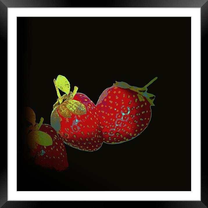 Fashion of Strawberries.. Framed Mounted Print by Nadeesha Jayamanne