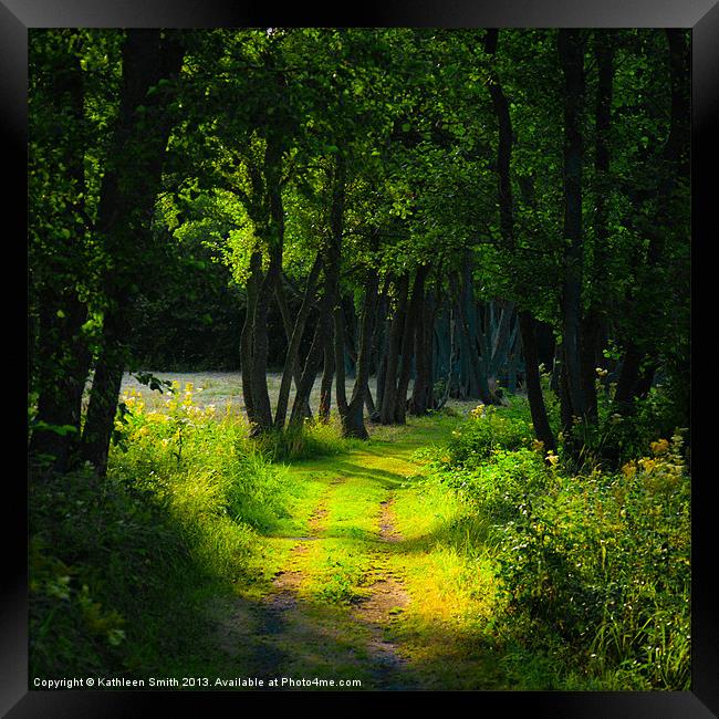 Old tree-lined path Framed Print by Kathleen Smith (kbhsphoto)