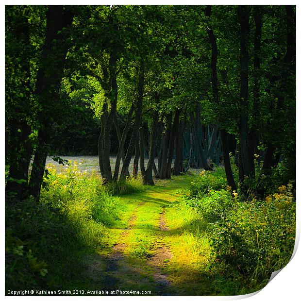 Old tree-lined path Print by Kathleen Smith (kbhsphoto)