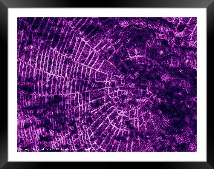 Digital cobweb Framed Mounted Print by Janet Tate