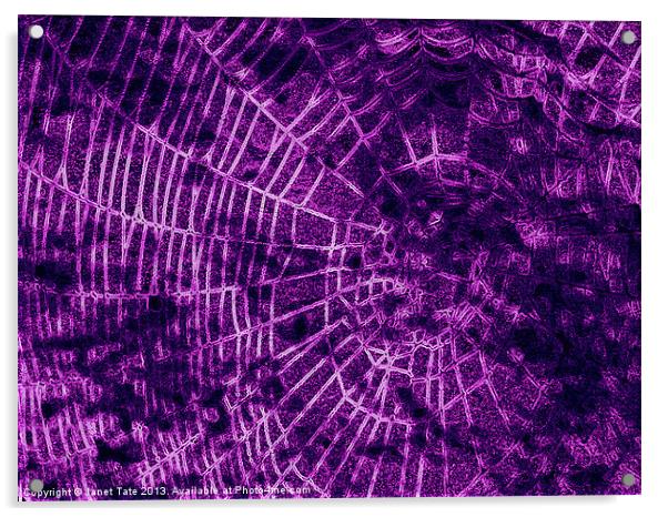 Digital cobweb Acrylic by Janet Tate