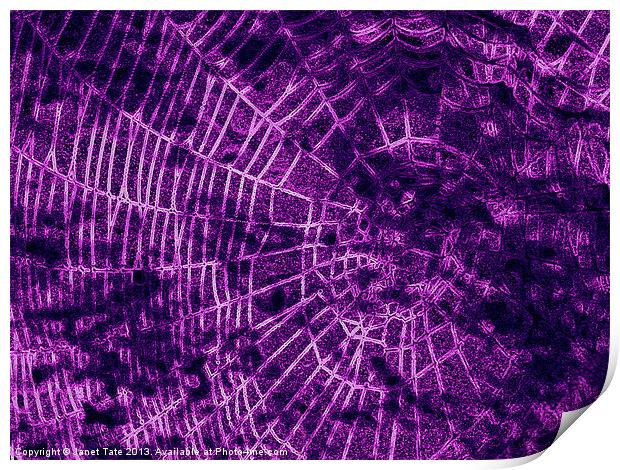 Digital cobweb Print by Janet Tate