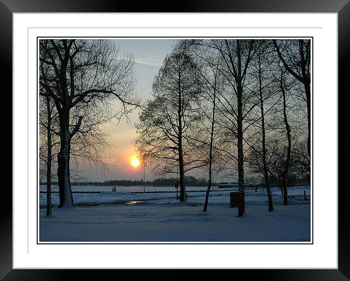 winter sunshine  Framed Mounted Print by Jovan Miric